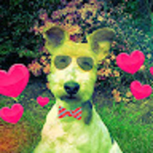 Meet your Posher, Jim